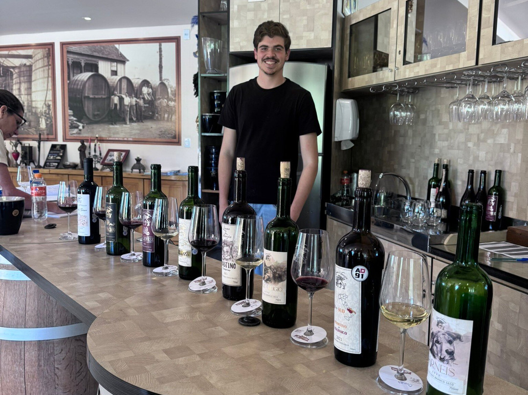 Leone di Venezia Winery-Sao Joaquim必去景点