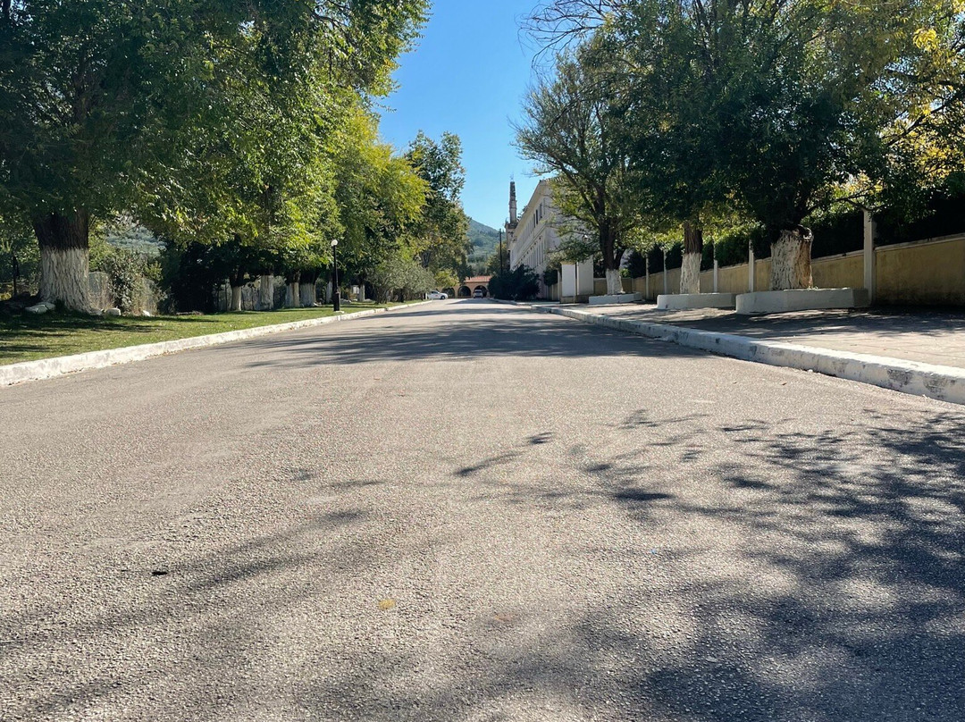 Saint Gerasimos Church-阿尔戈斯托利翁必去景点