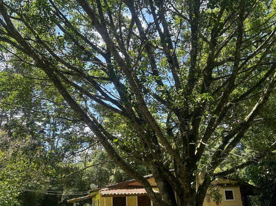 Pousada Acalanto主图