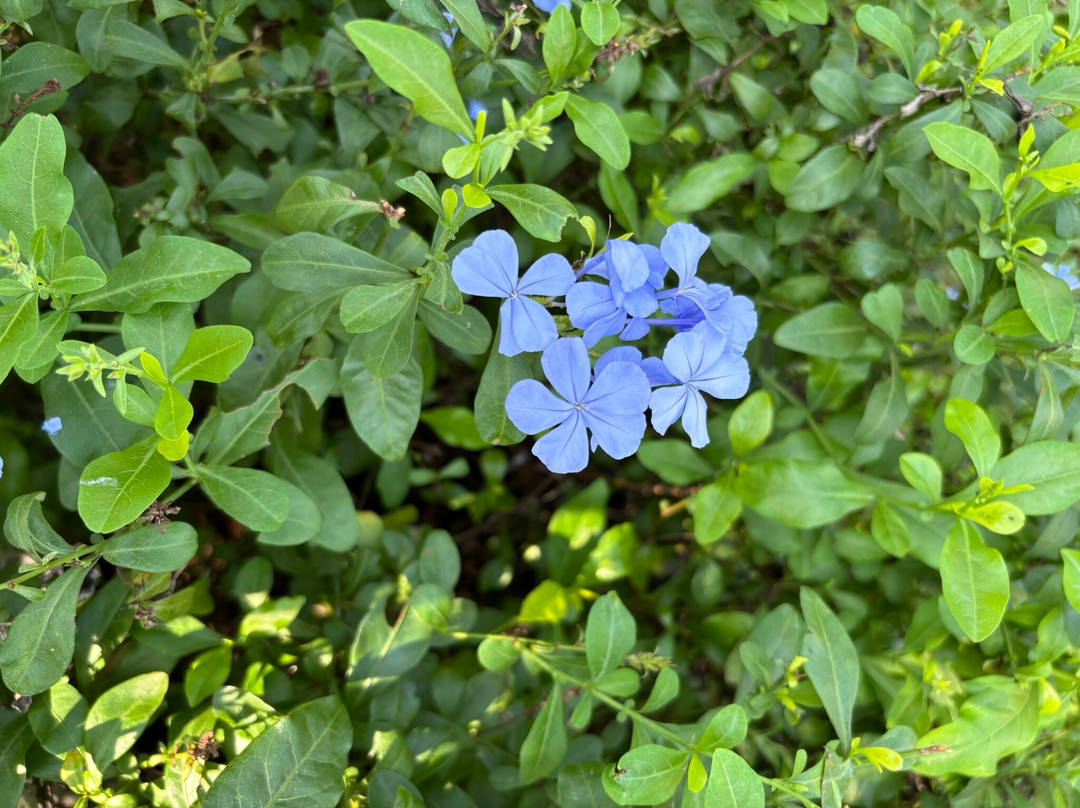 Storii By ITC Hotels Moira Riviera主图