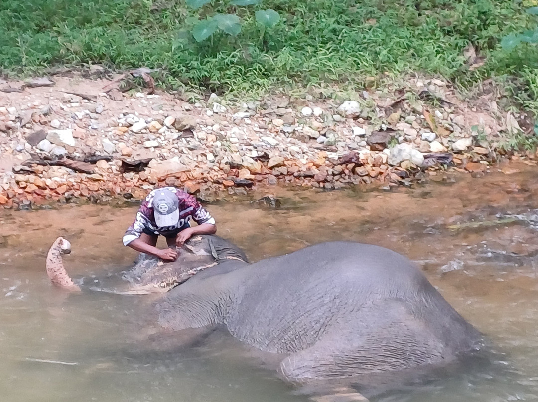 Khao Lak Elephant Sanctuary By Kes-攀牙必去景点