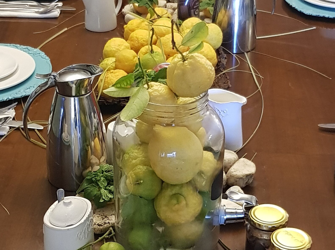 德莫伦宾馆主图