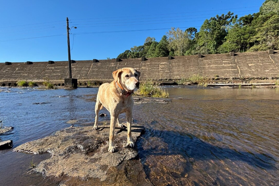 Barragem do Salto-Sao Francisco de Paula必去景点