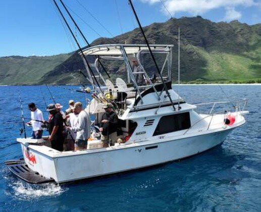 Ultimate Boating Adventure-怀厄奈必去景点