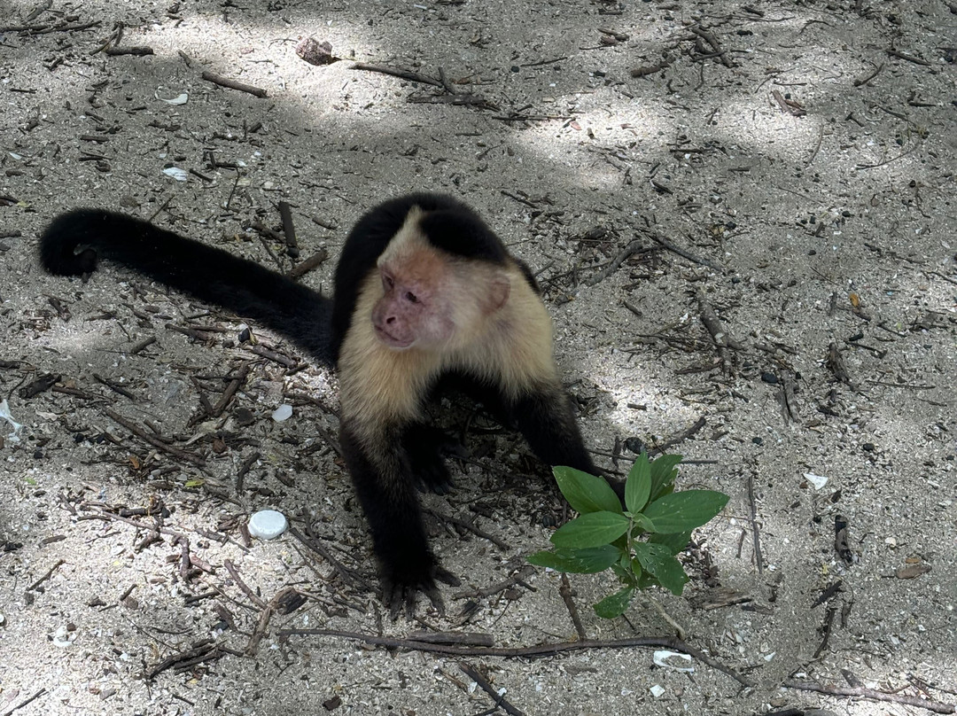 Blessing Tours-Area de Conservacion Guanacaste必去景点