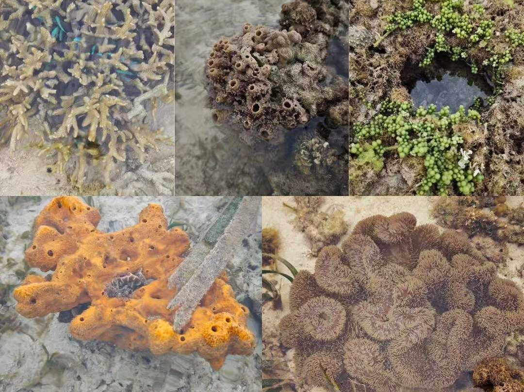 娜鲁萱岛度假村主图