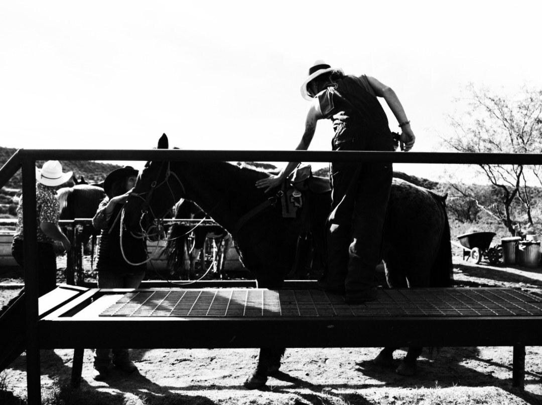 Horsin' Around Adventures-Cornville必去景点