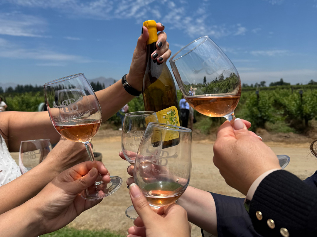 Viña Butron Budinich-兰卡瓜必去景点