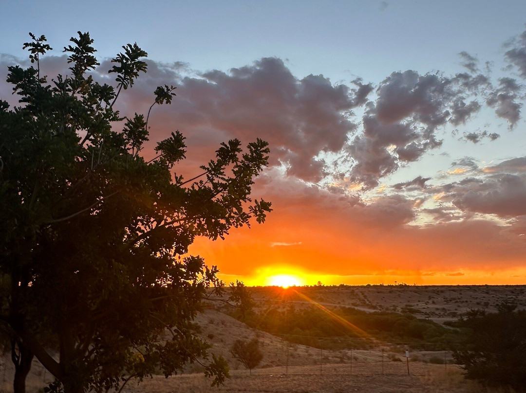 Kamelruhe Guest House & Camping主图