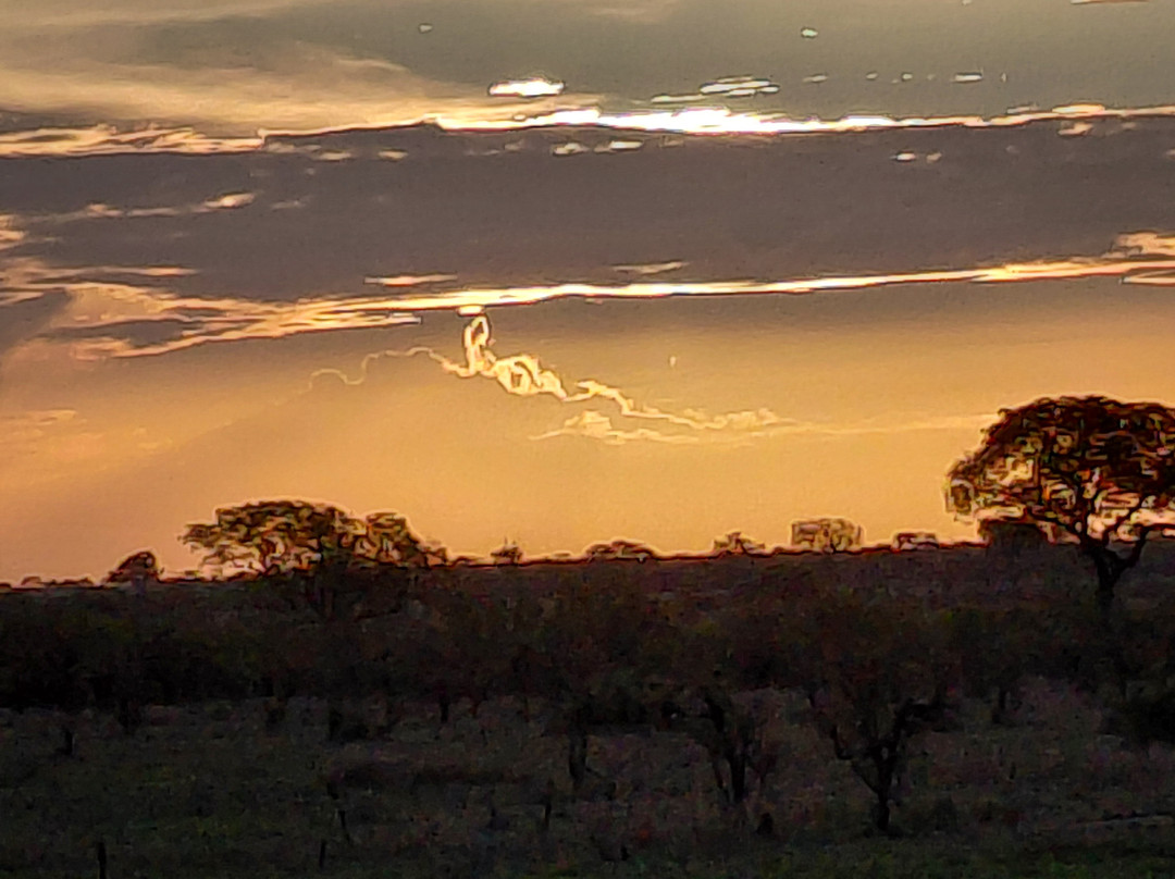 Kamaroutes travel Designers-Johannesburg South必去景点