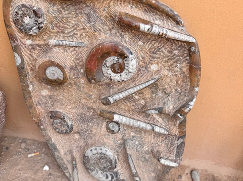 Oyacha Travel-卡萨布兰卡必去景点