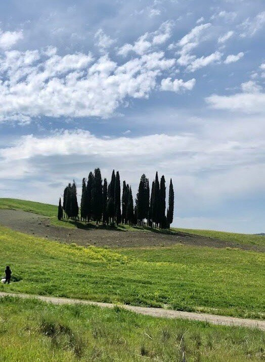 Cipressi di San Quirico d'Orcia-圣奎里科多尔恰必去景点
