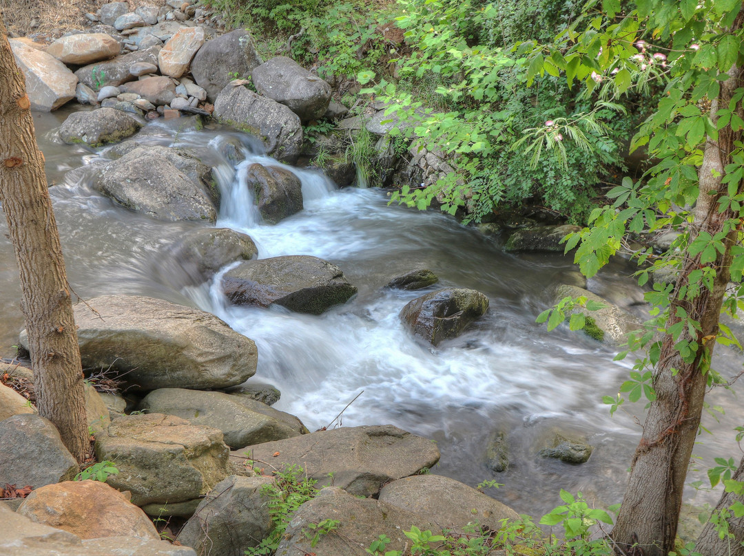 Hampton Inn Gatlinburg Historic Nature Trail
