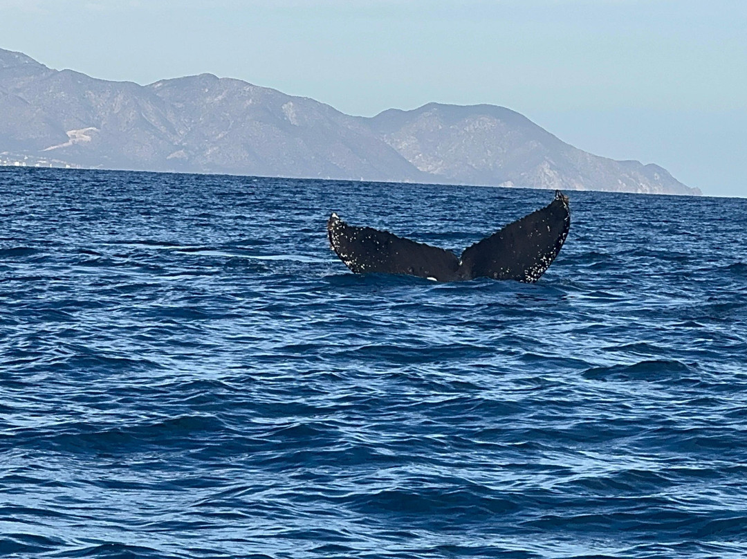 Agua Salada-La Ventana必去景点