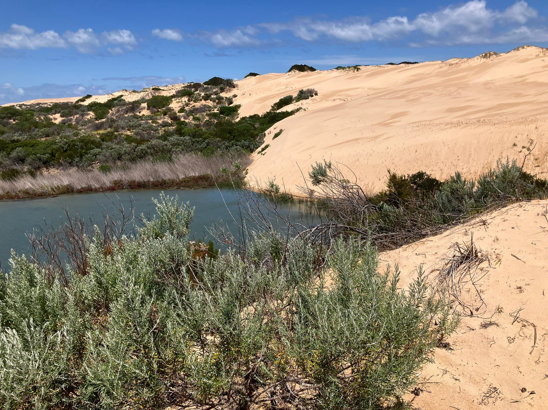 Spirit of the Coorong Cruises-Goolwa必去景点