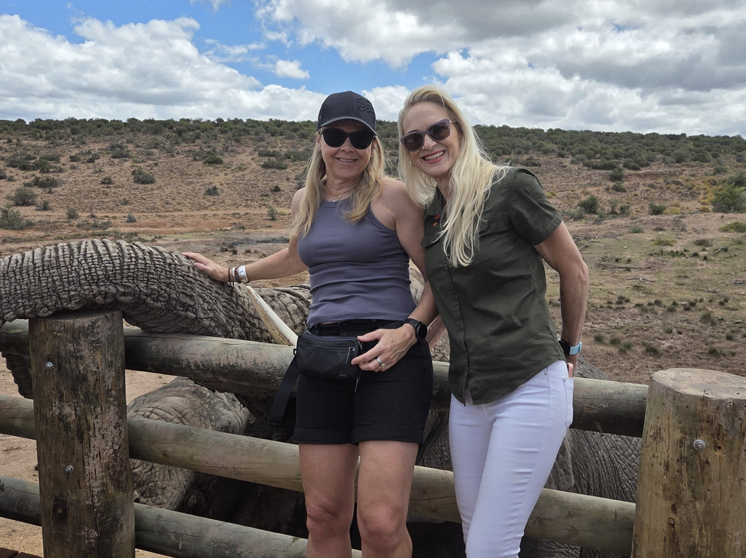 Buffelsdrift Game Lodge - Activities-奥兹洪必去景点