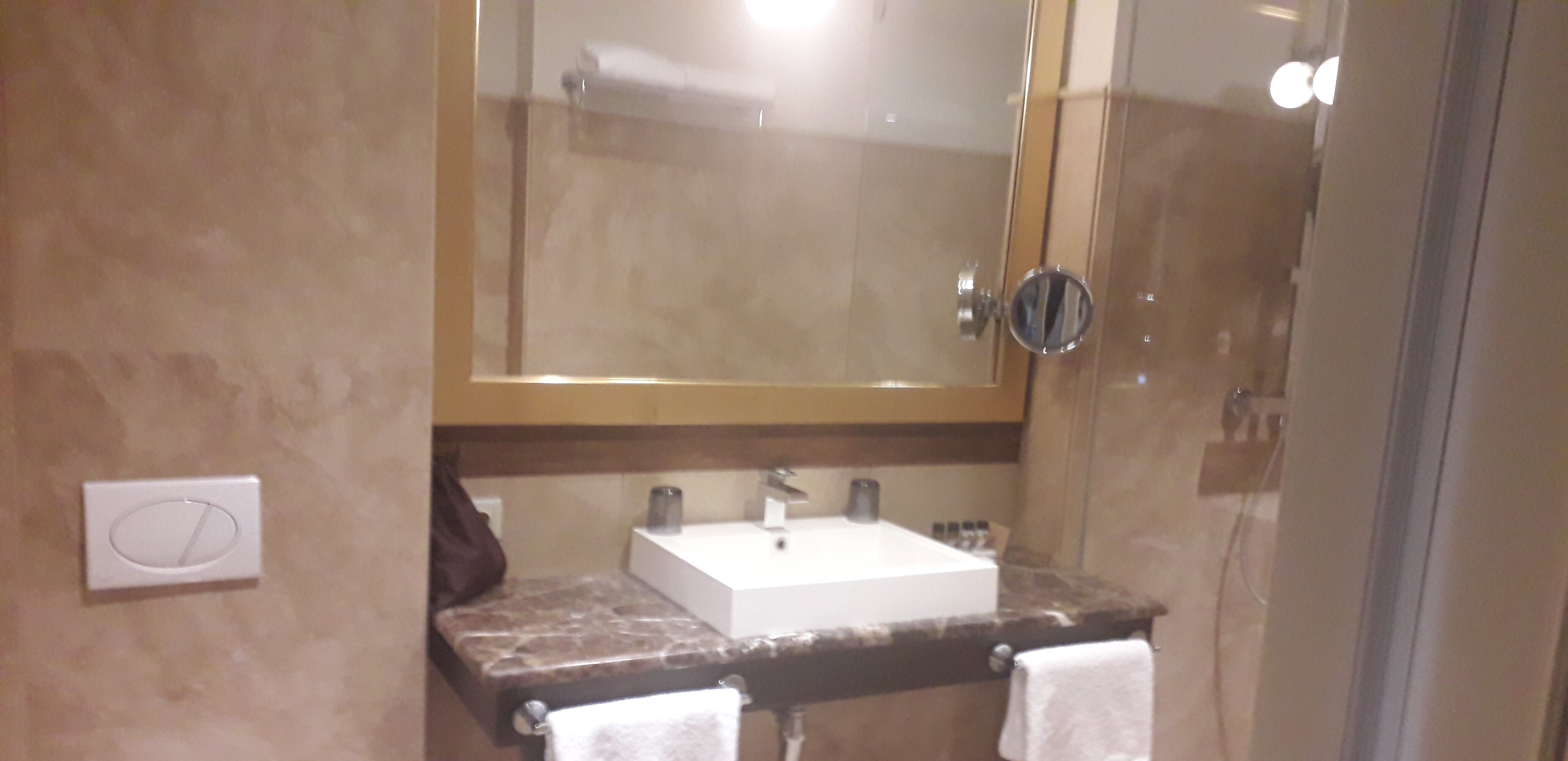 巴瑟罗布尔诺宫殿酒店-浴室