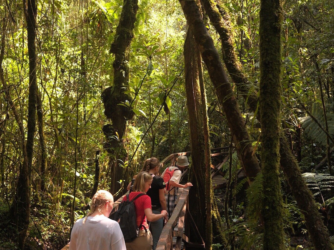 Madagascar Magic Tours-安齐拉贝必去景点