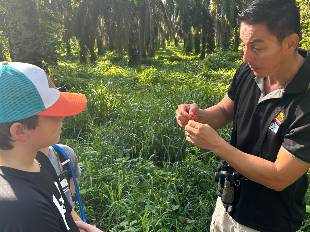 0S3 Private Tours-哈科必去景点