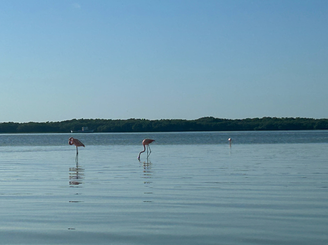 Guia Naturalista William Canto-里奥拉加托斯必去景点