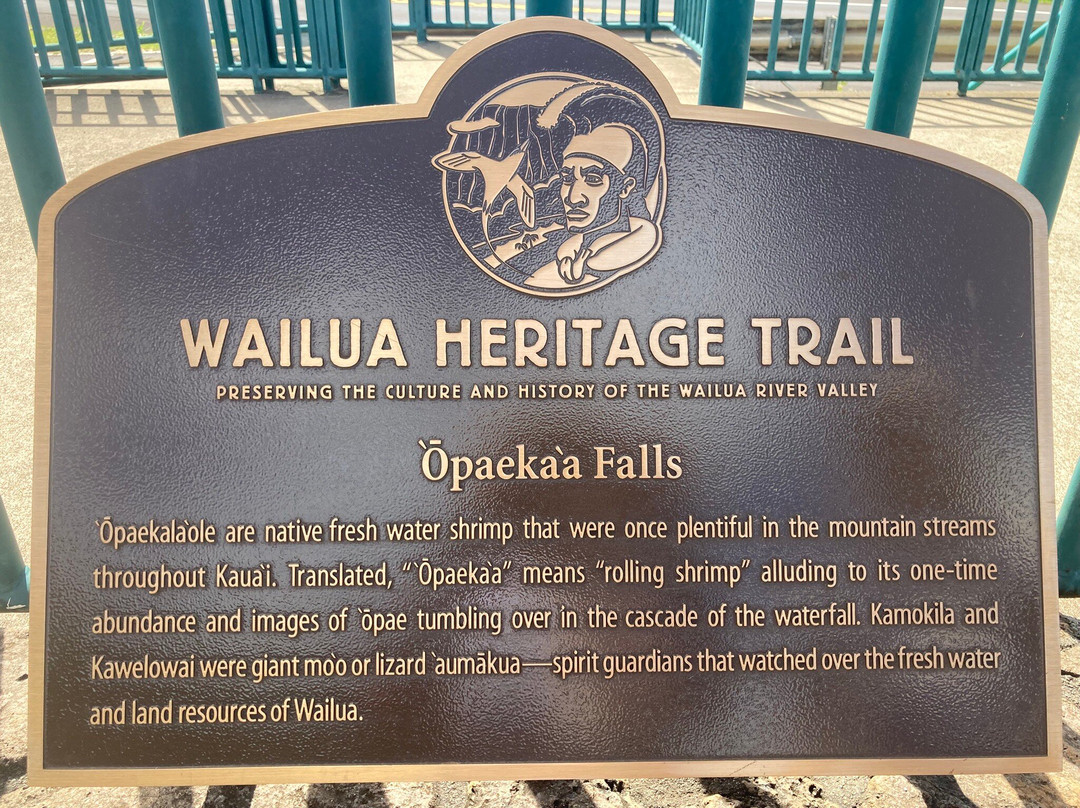 威鲁亚河州立公园-Wailua必去景点