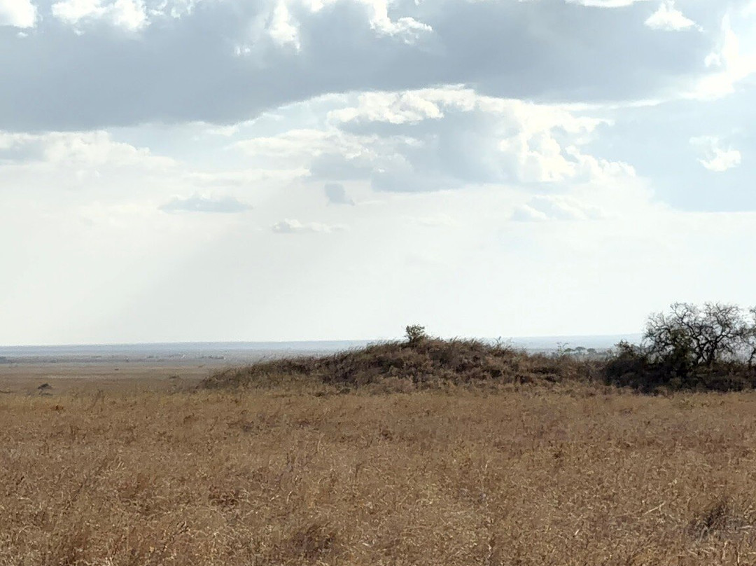 Tanzania Climbing Outfitters-阿鲁沙必去景点