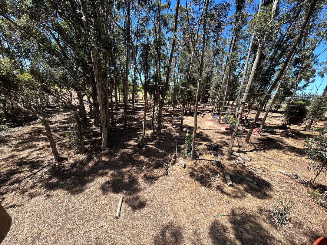 Acrobranch Stellenbosch-斯泰伦博斯必去景点