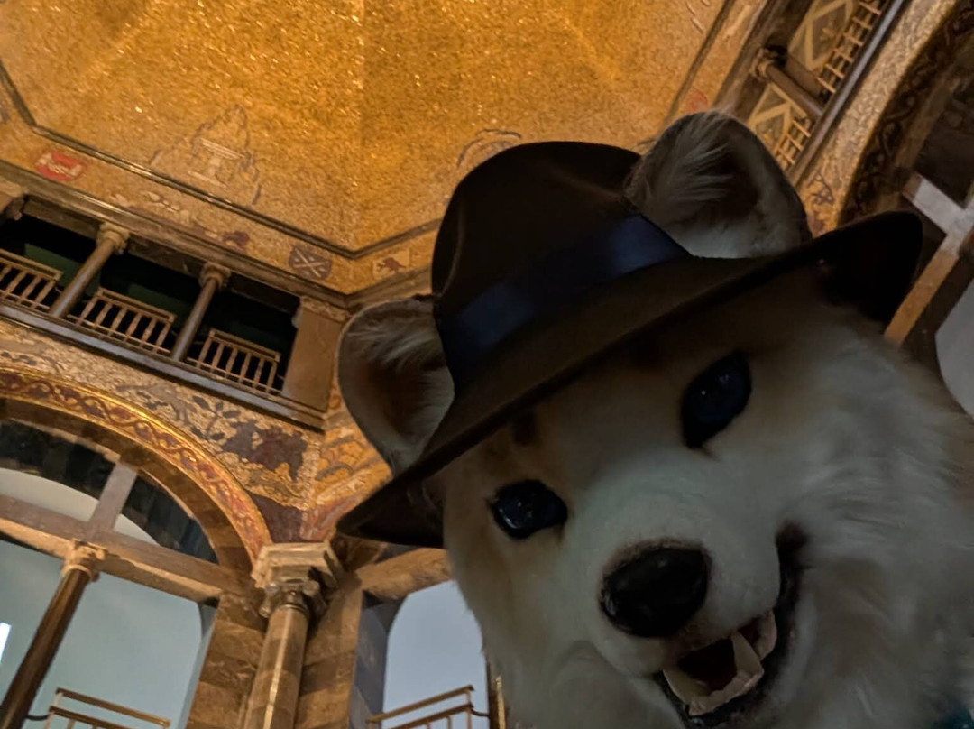 Museum Wiesbaden-威斯巴登必去景点