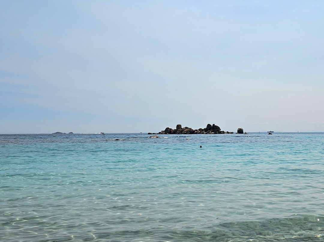 Plage De La Folaca-维琪奥港必去景点