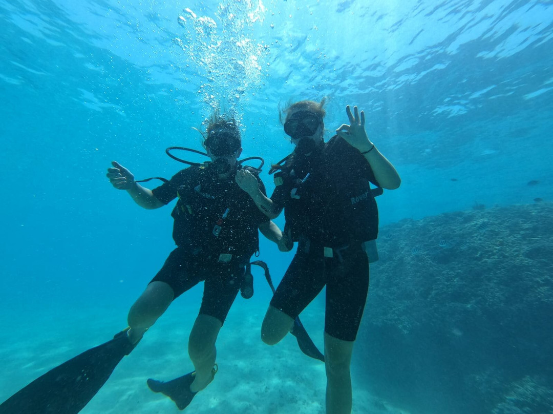 The Zanzibar Dive Centre, One Ocean-基万嘎必去景点