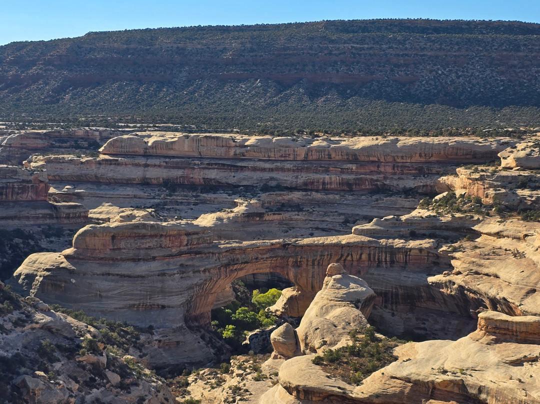 Natural Bridges National Monument-布兰丁必去景点