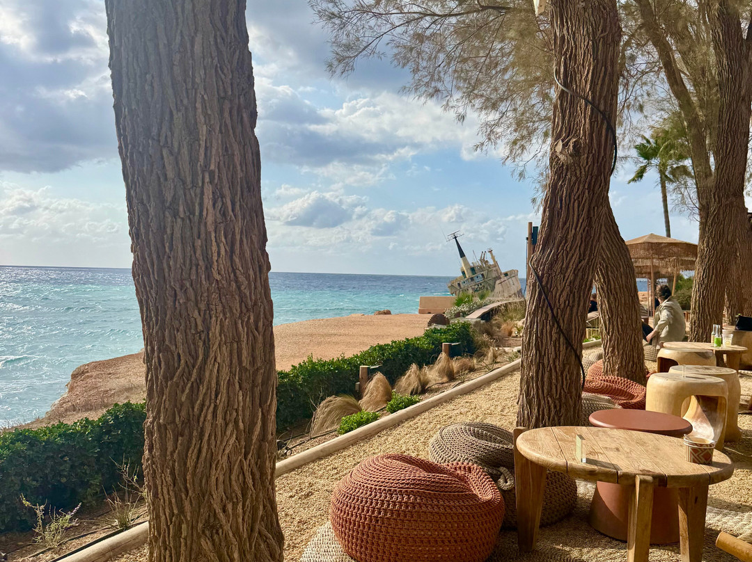 Edro III Shipwreck-Peyia必去景点