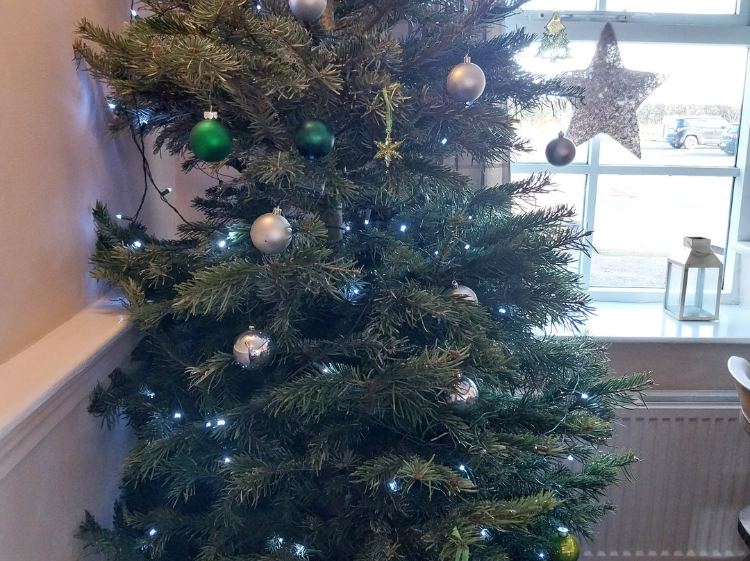 The Five Bells主图