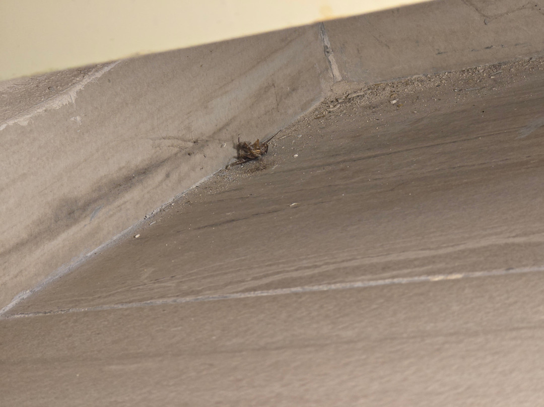 Hotel Casa Kaoba主图