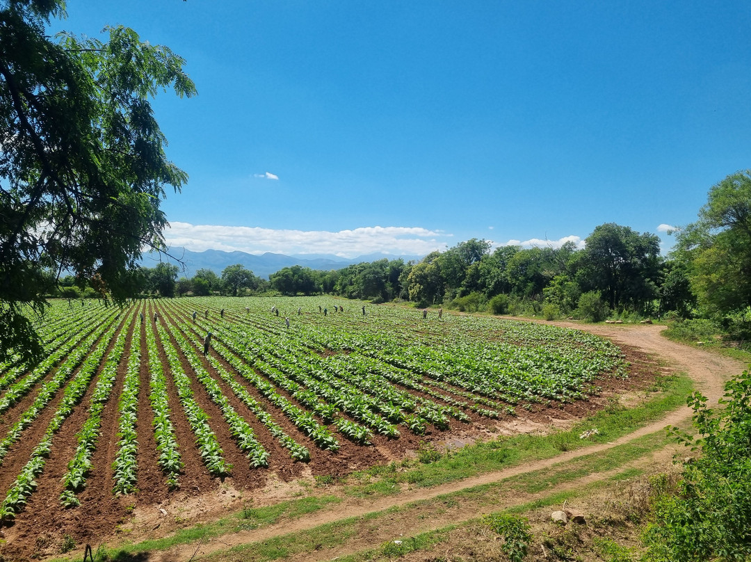 SAYTA-Chicoana必去景点