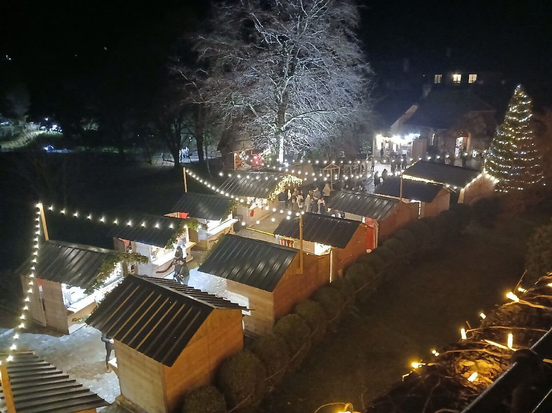 Château De Menthon-saint-bernard-圣贝尔纳必去景点