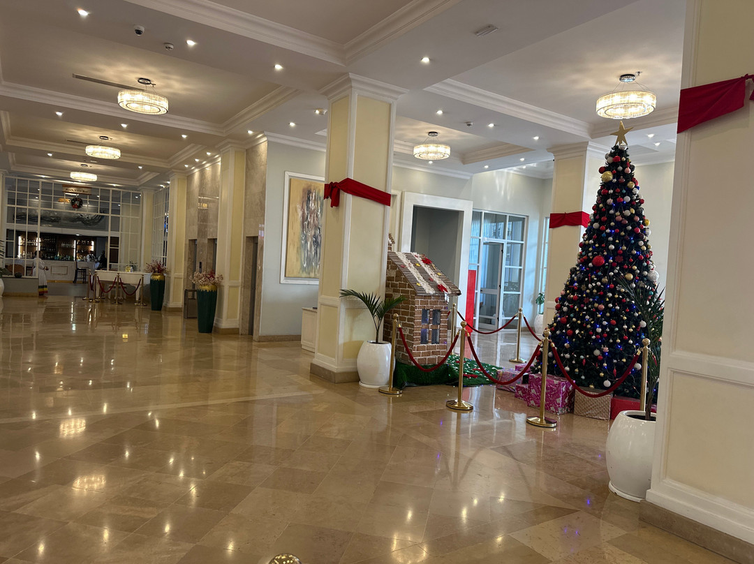 Haile Grand - Addis Ababa主图