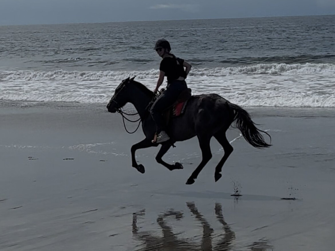 Guti Tours-Playa Avellanas必去景点