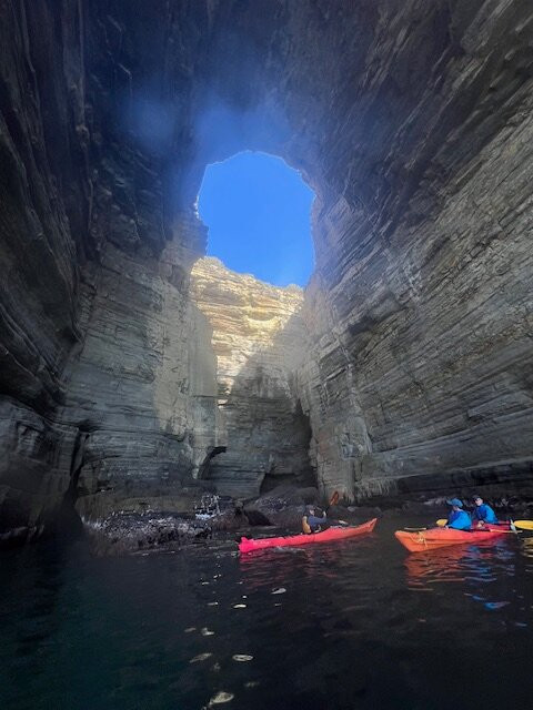 Southern Sea Ventures-霍巴特必去景点