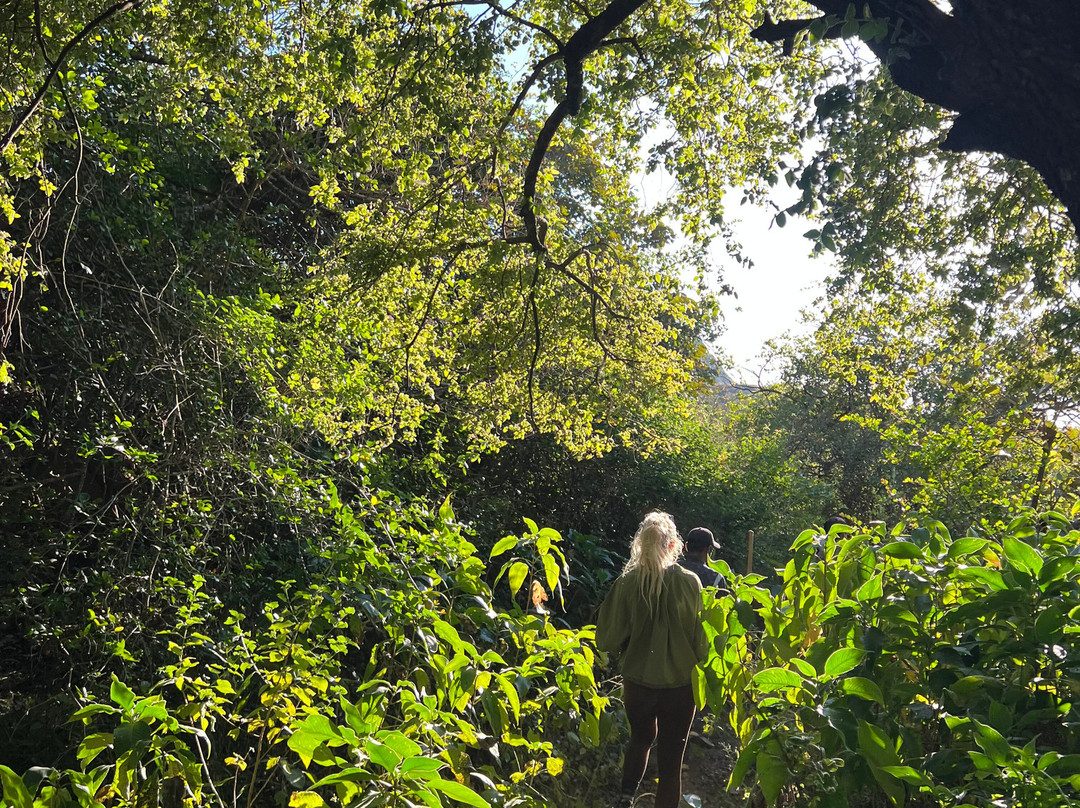Hiking & Trekking Company Mount Abu-阿布山必去景点