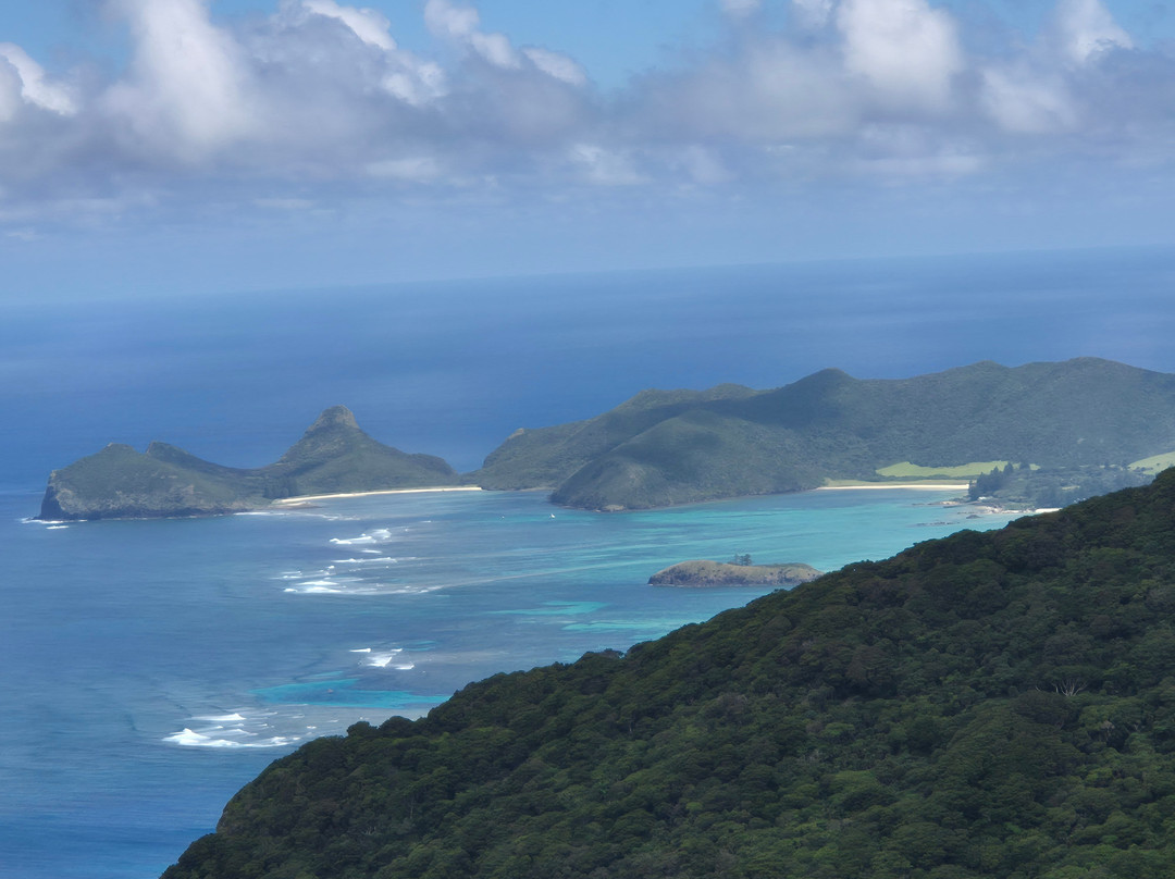 Lord Howe Environmental Tours-豪勋爵群岛必去景点