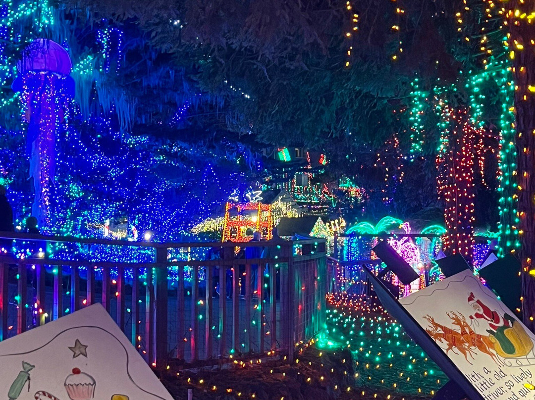 Cambria Christmas Market-坎布里亚必去景点