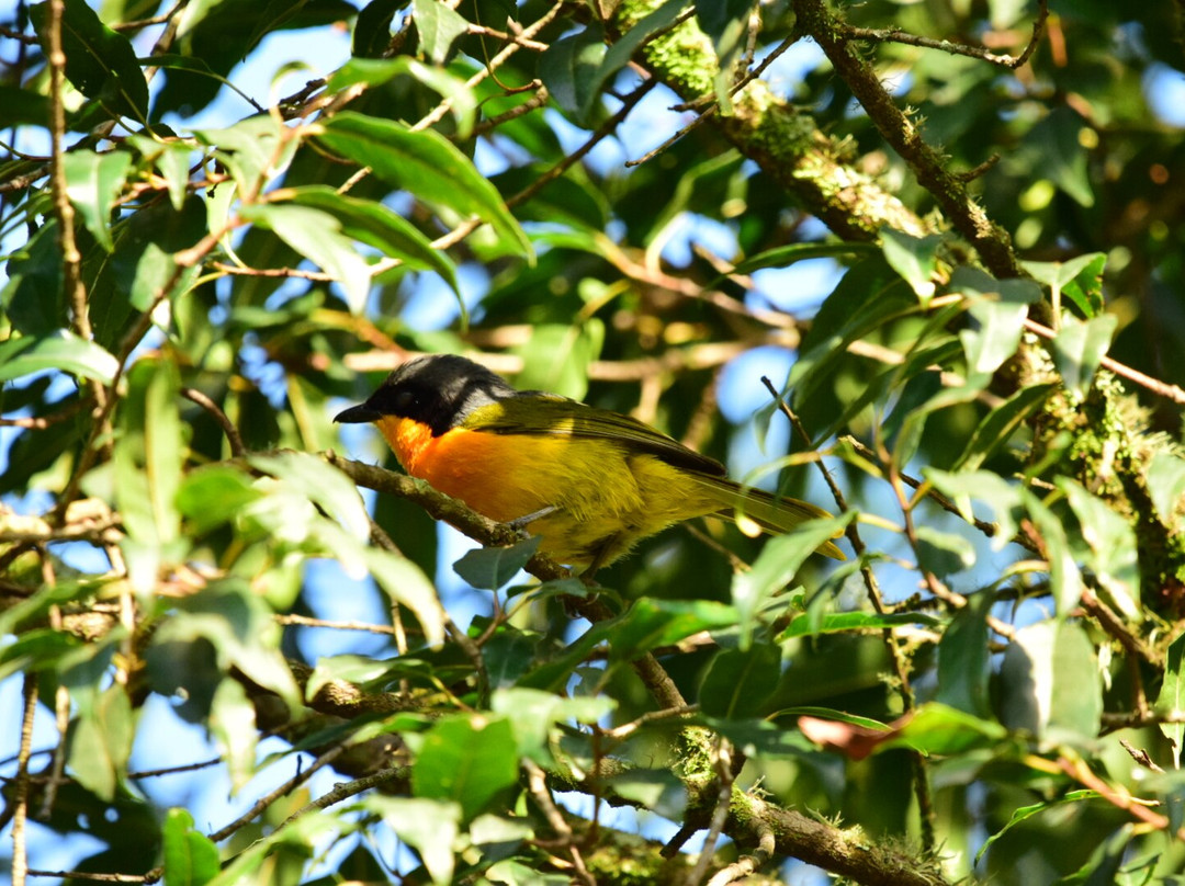 Famba Travel & Safaris-参宁必去景点