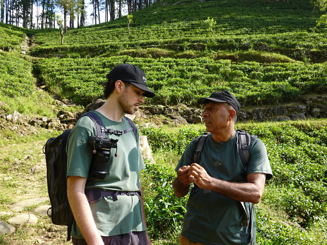Kandy Trekking Tours-康提必去景点
