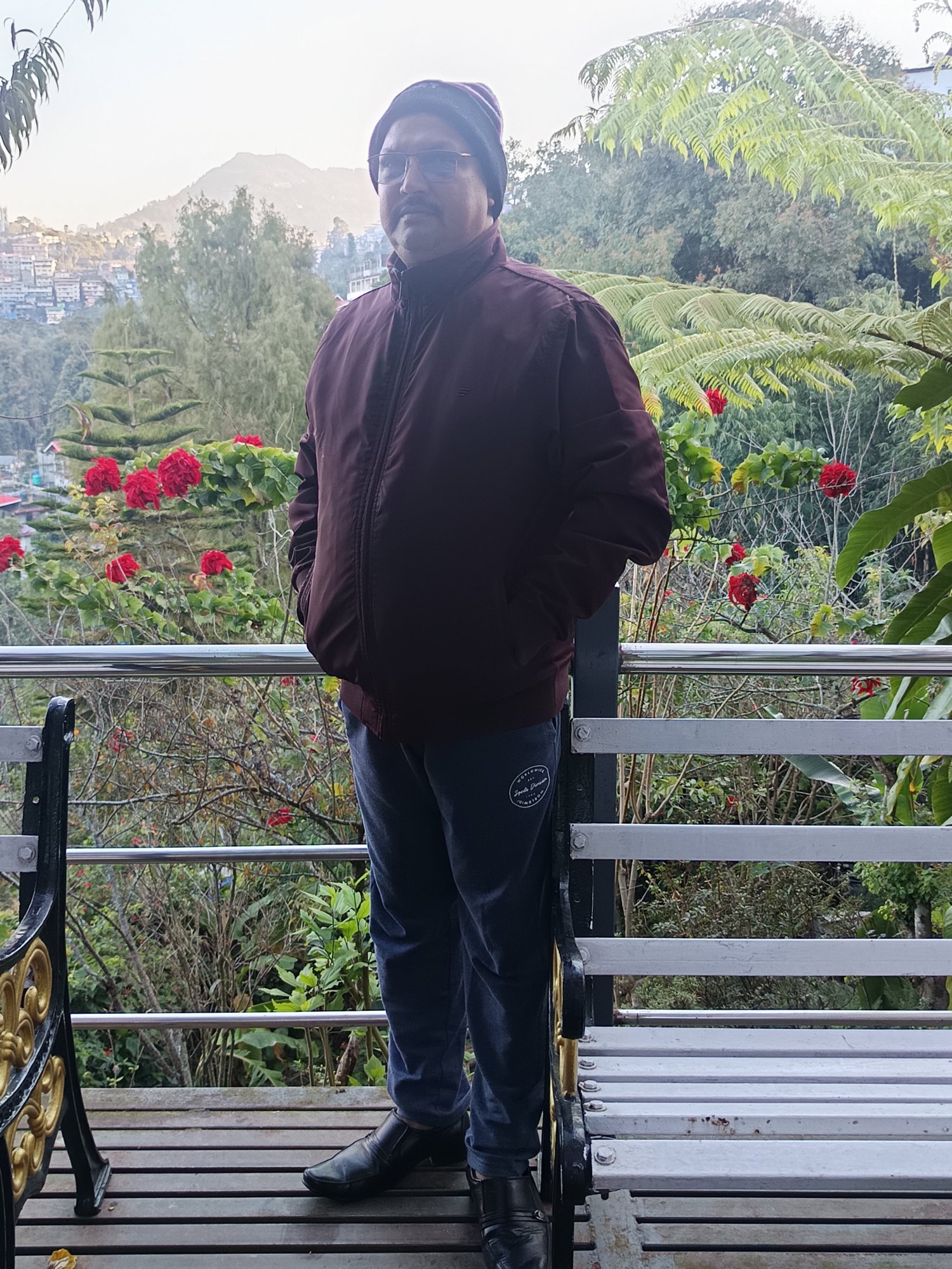 Sood's Himalayan Vista-官方