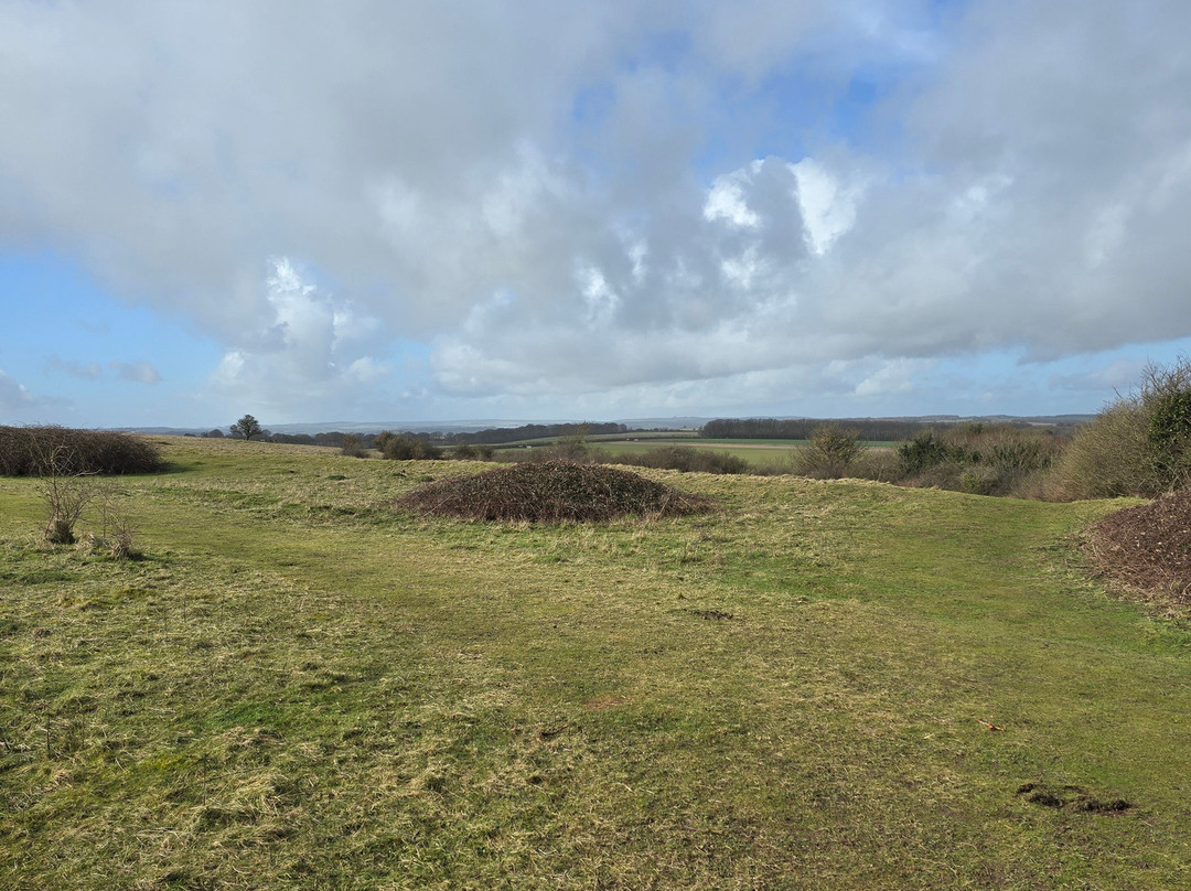 Badbury Rings-Wimborne Minster必去景点