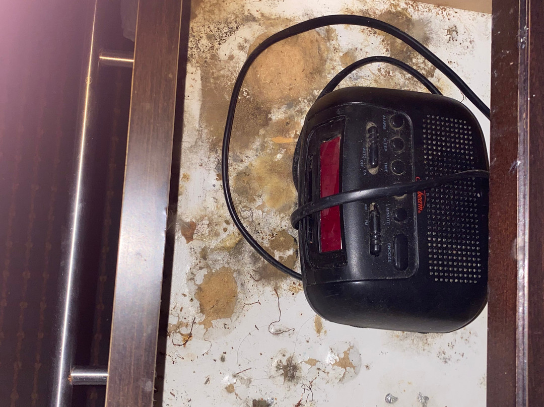 Red Roof Inn & Suites Hermitage主图