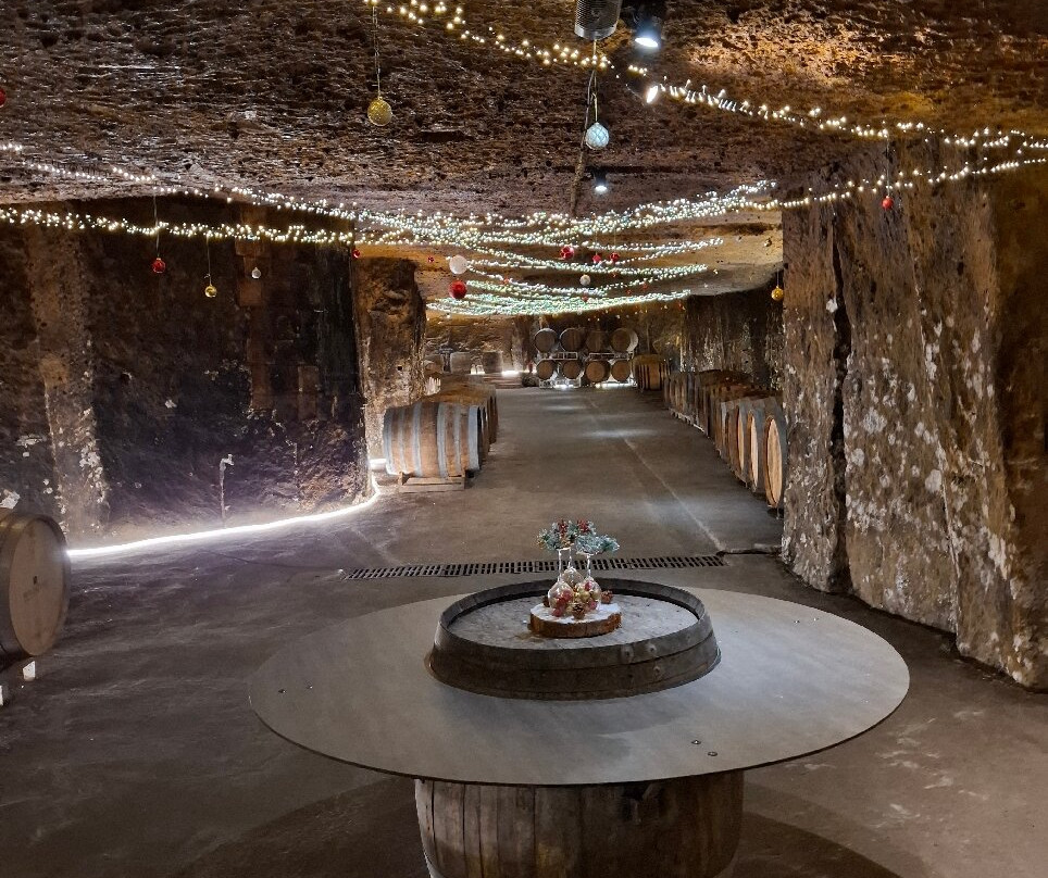 Caves Plouzeau-希农必去景点