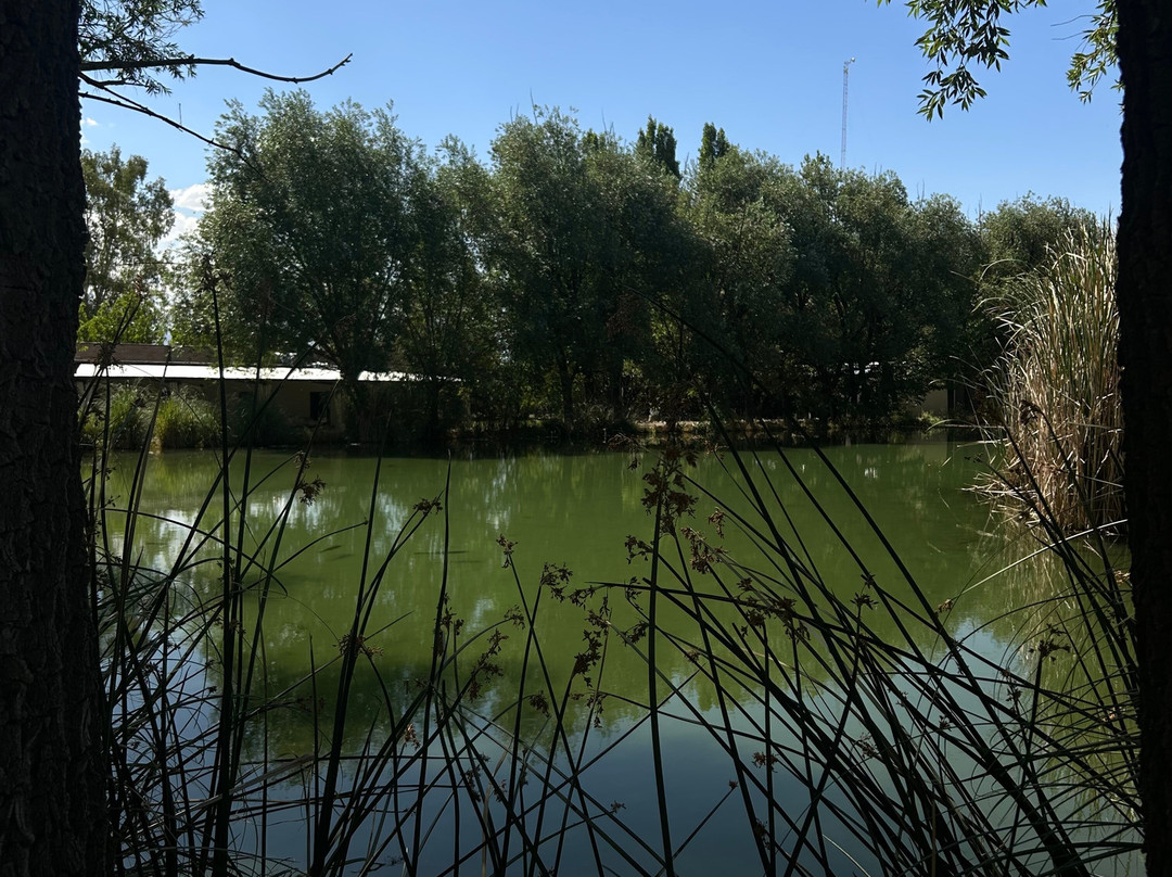 Huarpe Riglos Family Wines-阿格雷洛必去景点