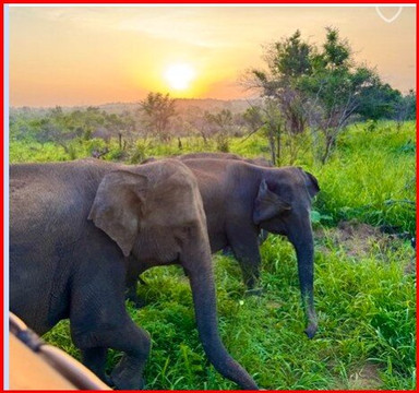 Ganesh Voyages-金奈（马德拉斯）必去景点